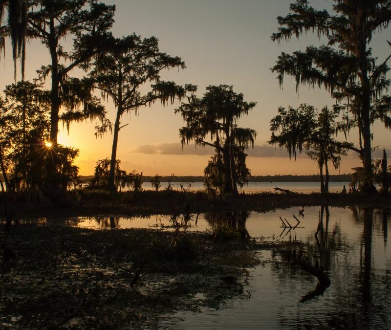 Bayou Sunshine: How Louisiana’s Climate is Perfect for Solar