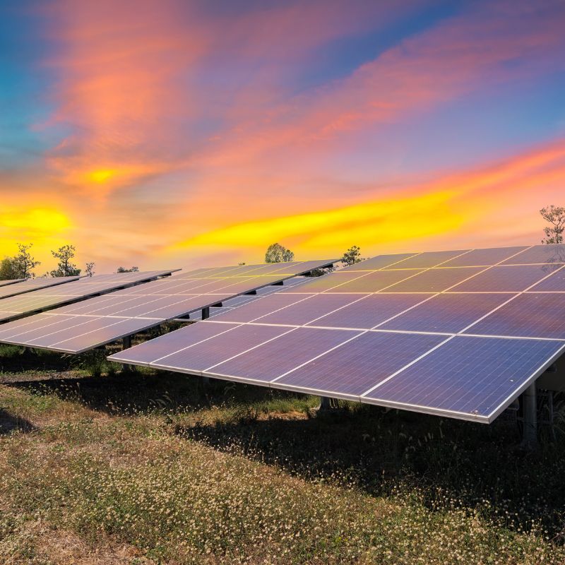 The Solar Advantage: Breaking Down the Benefits for Louisiana Homeowners